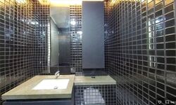 Skysuites@Anson (D2), Apartment #579513191